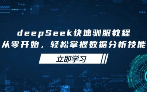 从零到精通：deepseek快速入门与数据分析技能全面掌握